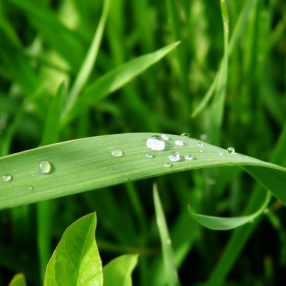 Meet your Posher, Maryam - Picture 1 of 1